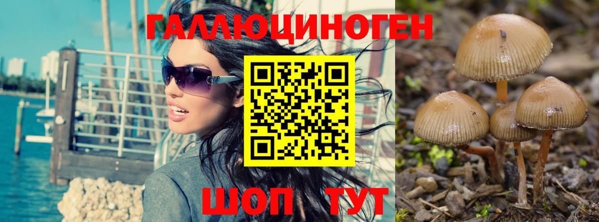 Галлюциногенные грибы GOLDEN TEACHER  Вход с VPN  Галлюциногенные грибы Psilocybe  Острогожск 