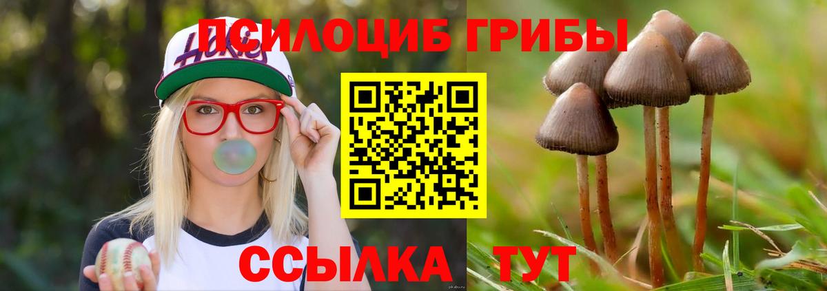 Галлюциногенные грибы мухоморы Острогожск